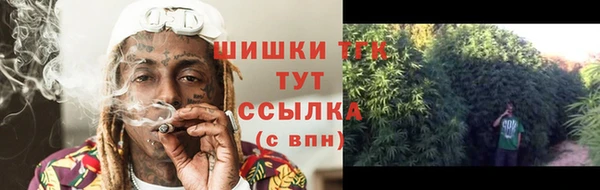 дмт Дмитров