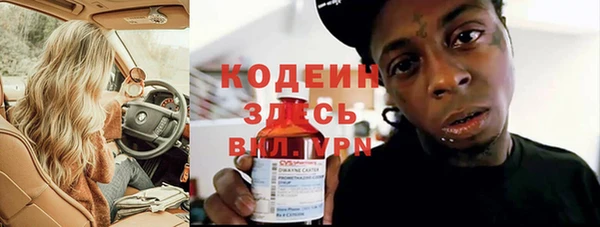 дмт Дмитров