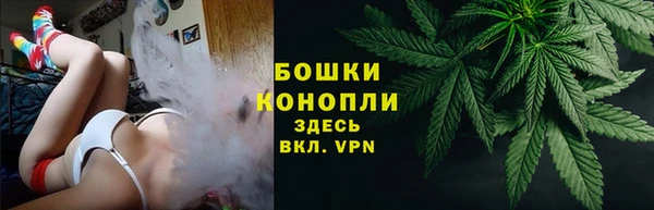 спиды Дмитровск