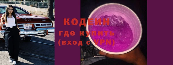 дмт Дмитров