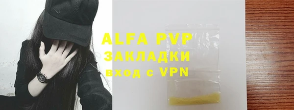 дмт Дмитров