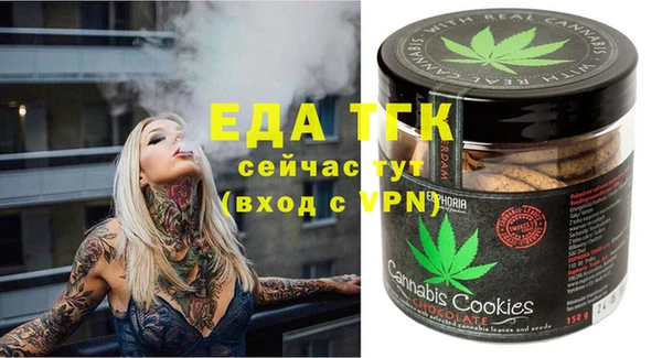 дмт Дмитров