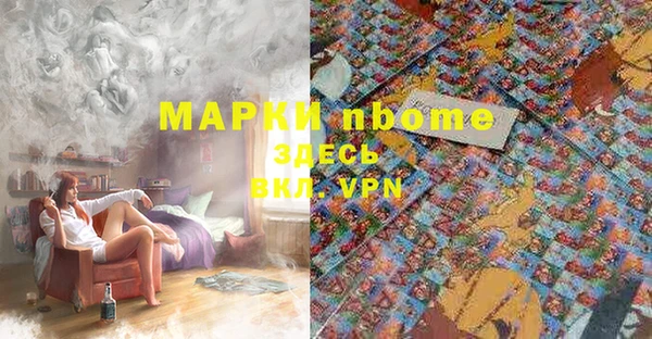 дмт Дмитров