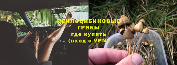 дмт Дмитров