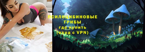 спиды Дмитровск