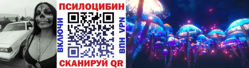 Псилоцибиновые грибы Psilocybine cubensis  Курганинск 